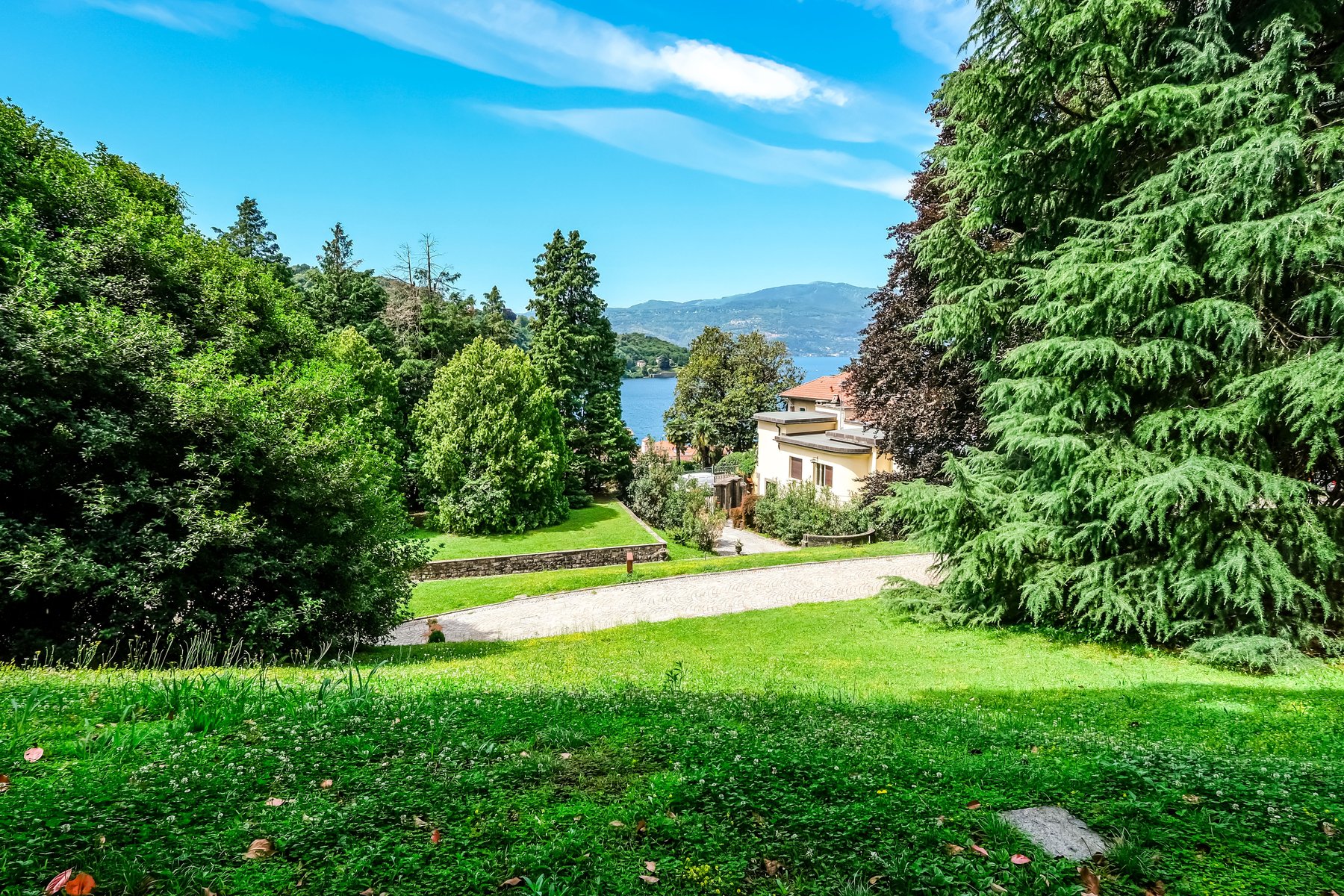 El parque