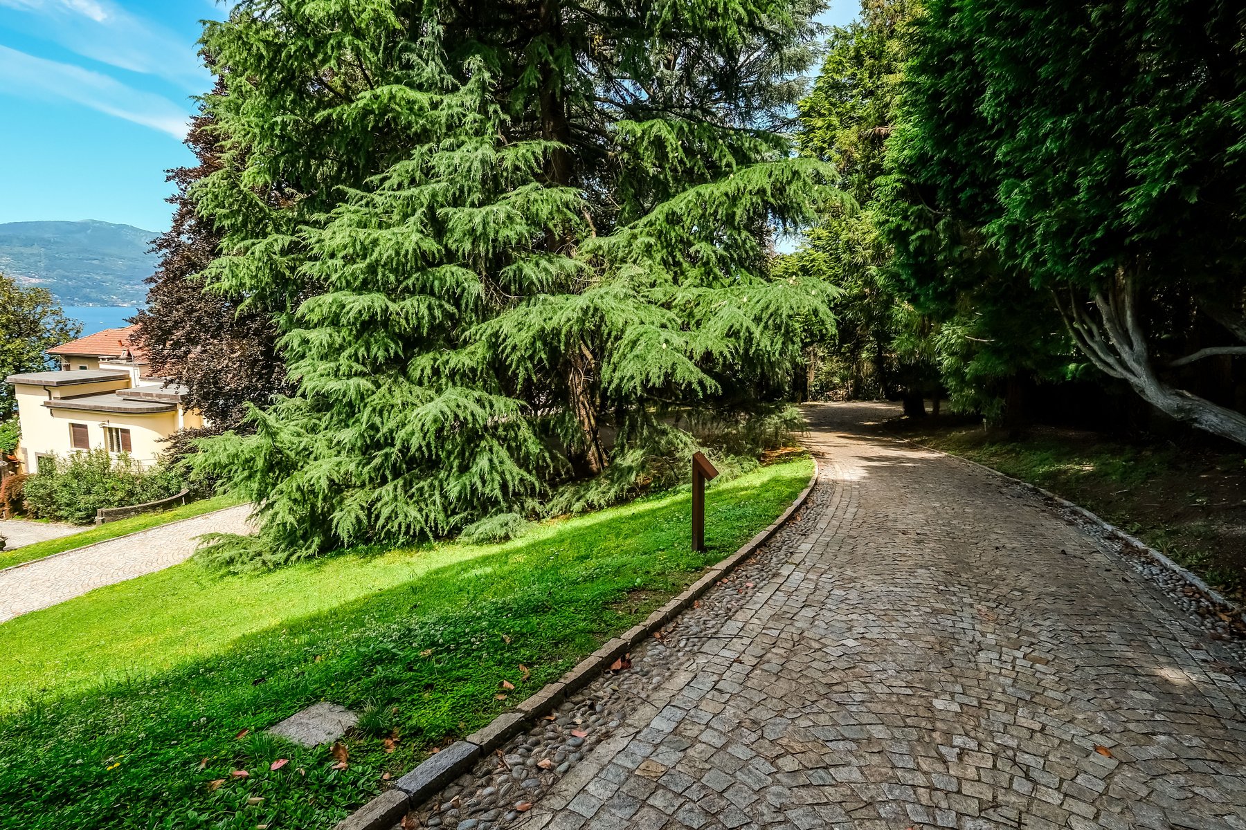 El parque