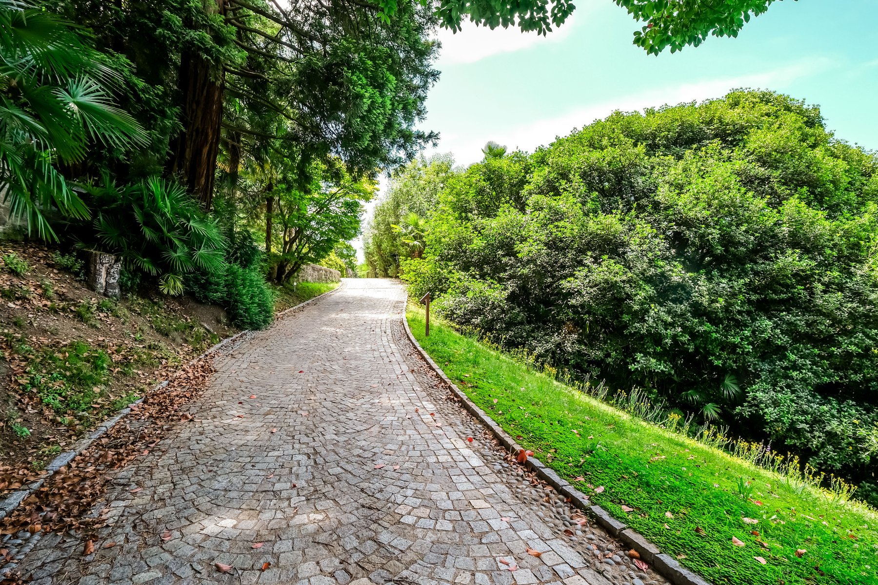 El parque