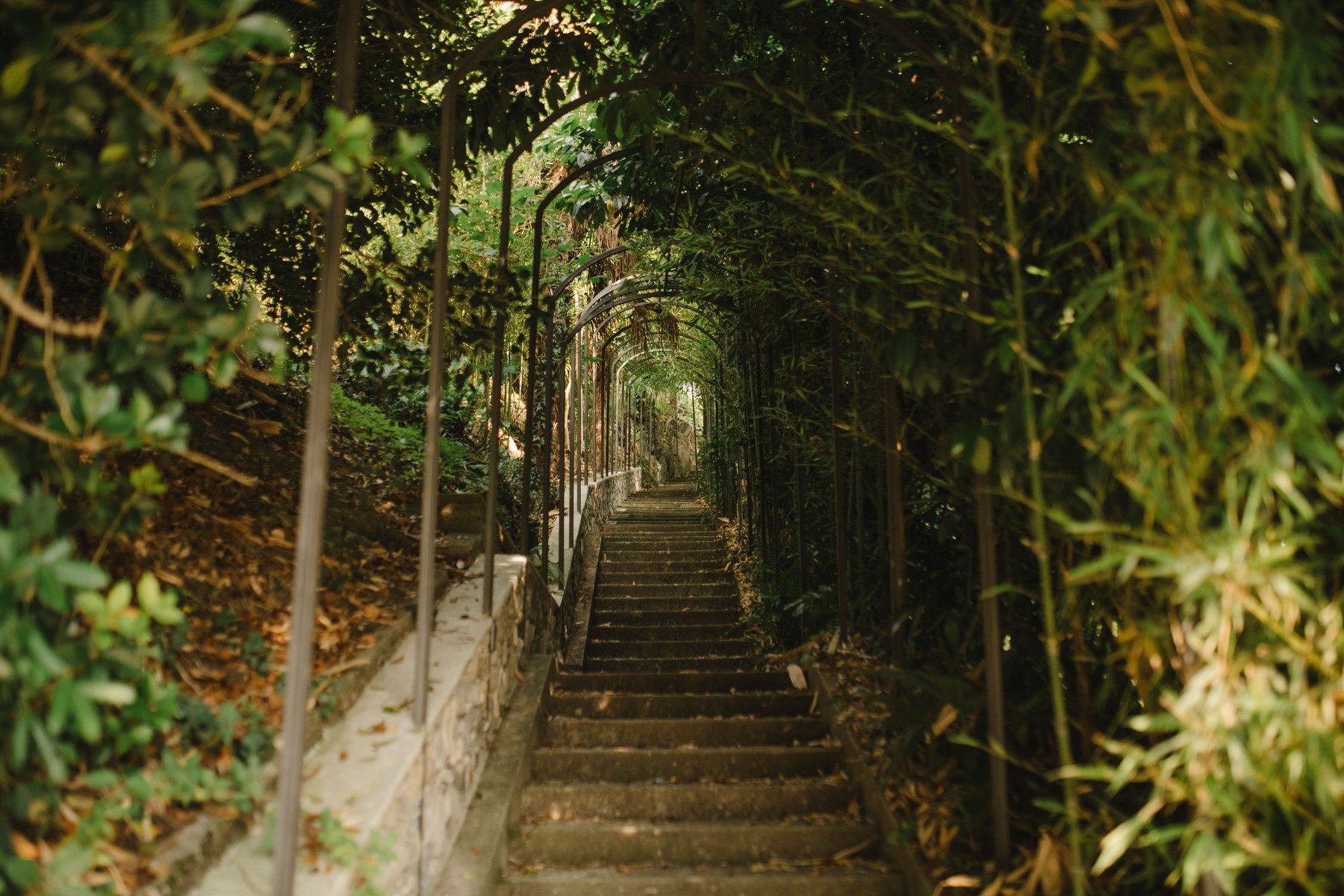 El parque